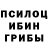 Галлюциногенные грибы Cubensis Rosa Yatskiv