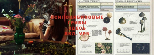прущая мука Алексин