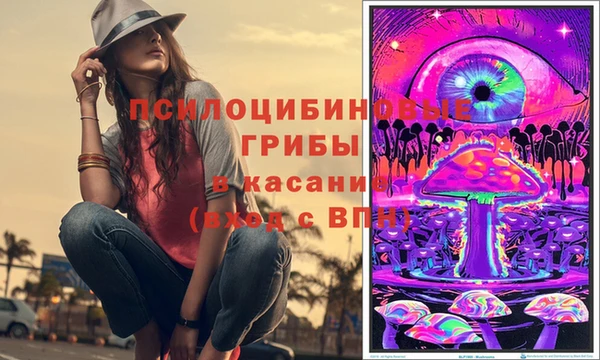 соль ск Алексеевка