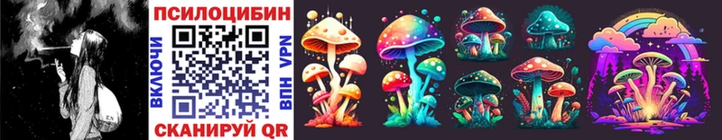Псилоцибиновые грибы Psilocybine cubensis  Чапаевск 